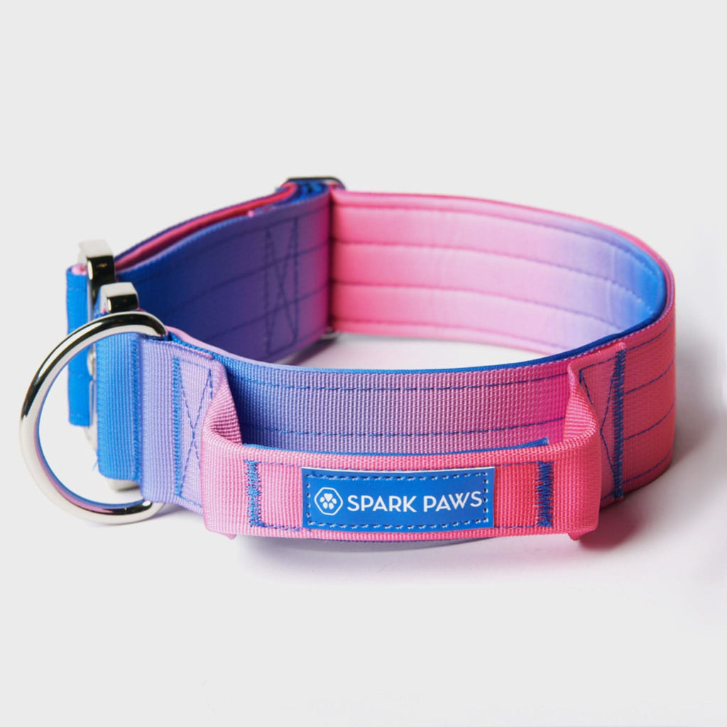 Tactical Dog Collar and Leash Set product image 5