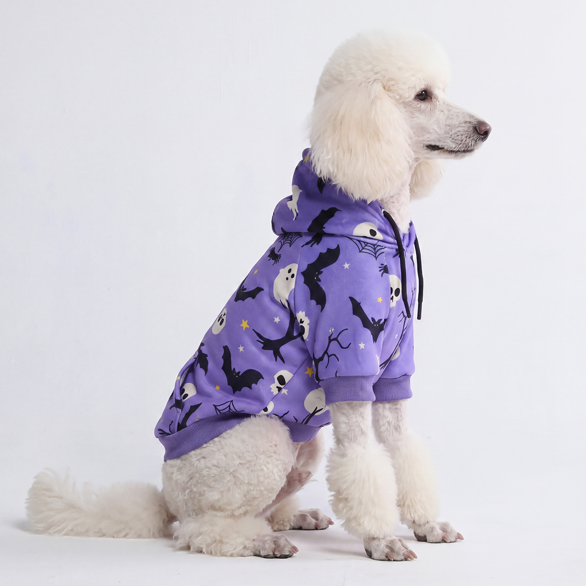 Halloween Dog Hoodie product image 42