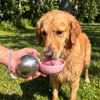 Portable Dog Water Bottle and Snack Bowl, Leak-Proof Clip-On Design for Hands-Free Walks and Travel source image 6