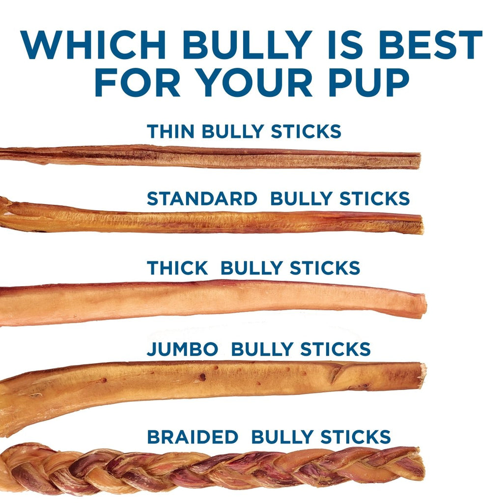 Comparison of different types of bully sticks with text 'Which Bully is Best for Your Pup' on a white background.