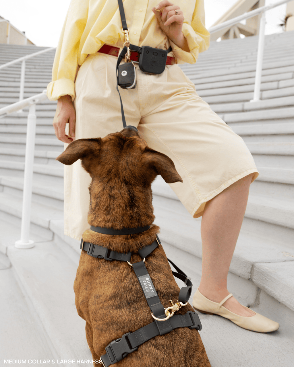 Hands-Free Dog Leash, Four-Way Convertible Crossbody and Waist Design in Standard or Wide Webbing source image 6