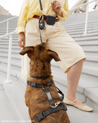 Hands-Free Dog Leash, Four-Way Convertible Crossbody and Waist Design in Standard or Wide Webbing source image 6