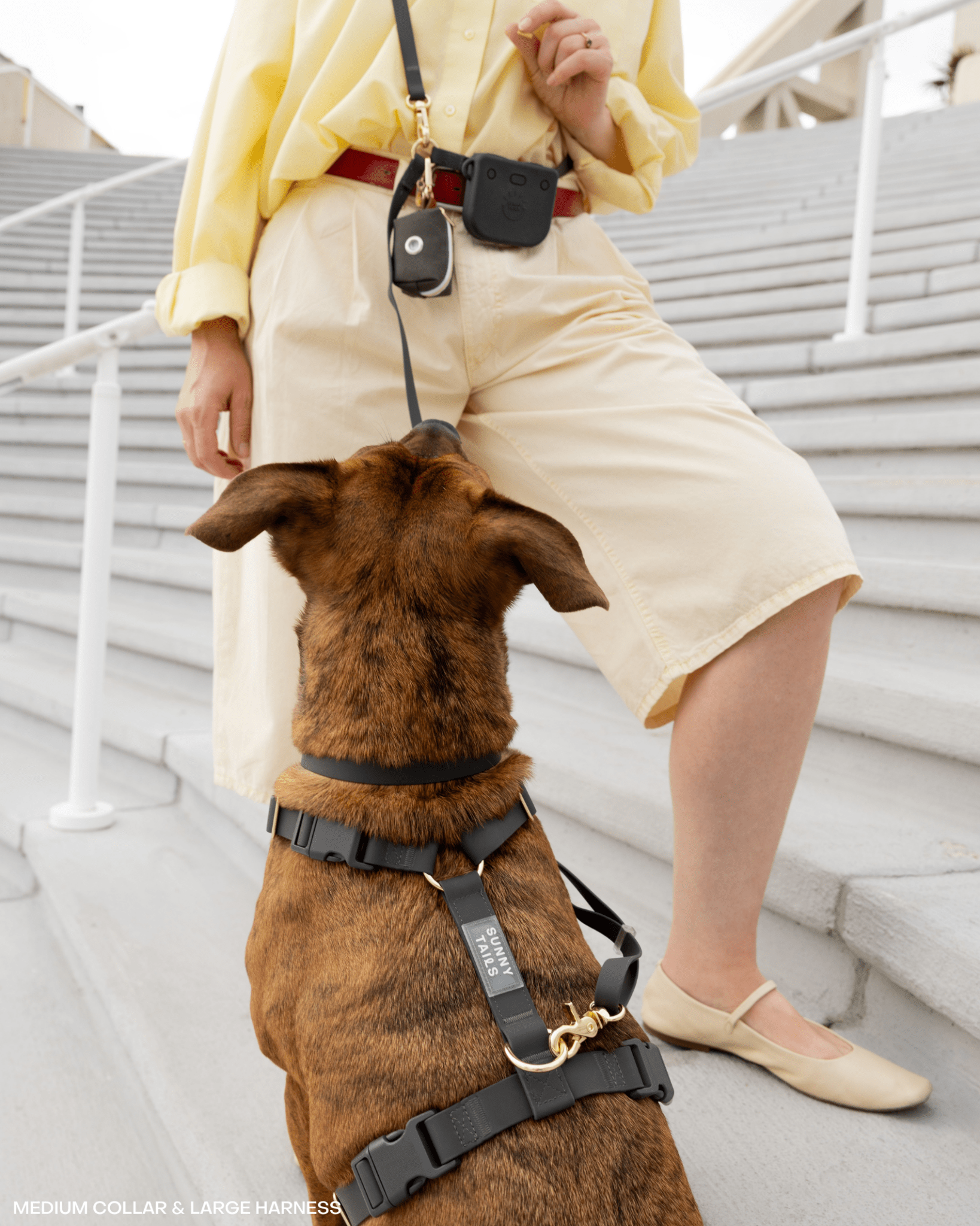 Hands-Free Dog Leash, Four-Way Convertible Crossbody and Waist Design in Standard or Wide Webbing source image 6