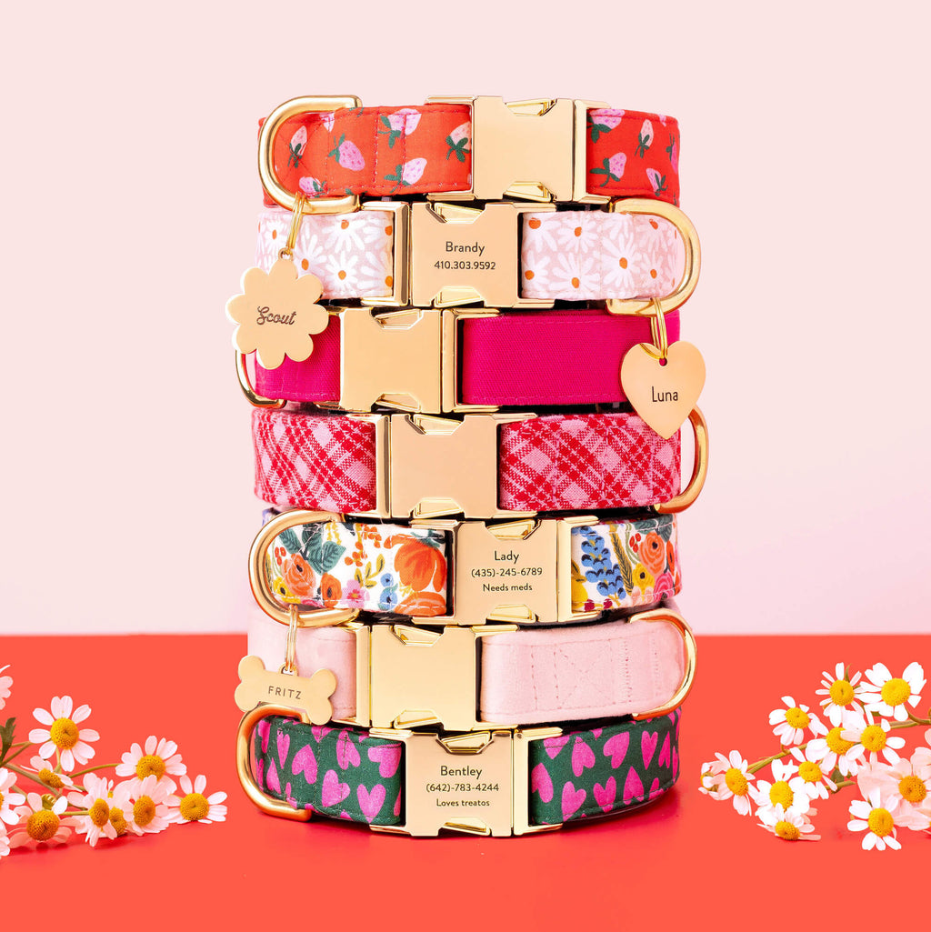 Garden Party Floral Cotton Dog Collar, Reinforced Webbing and Brass D-Ring in Four Adjustable Neck Sizes source image 6