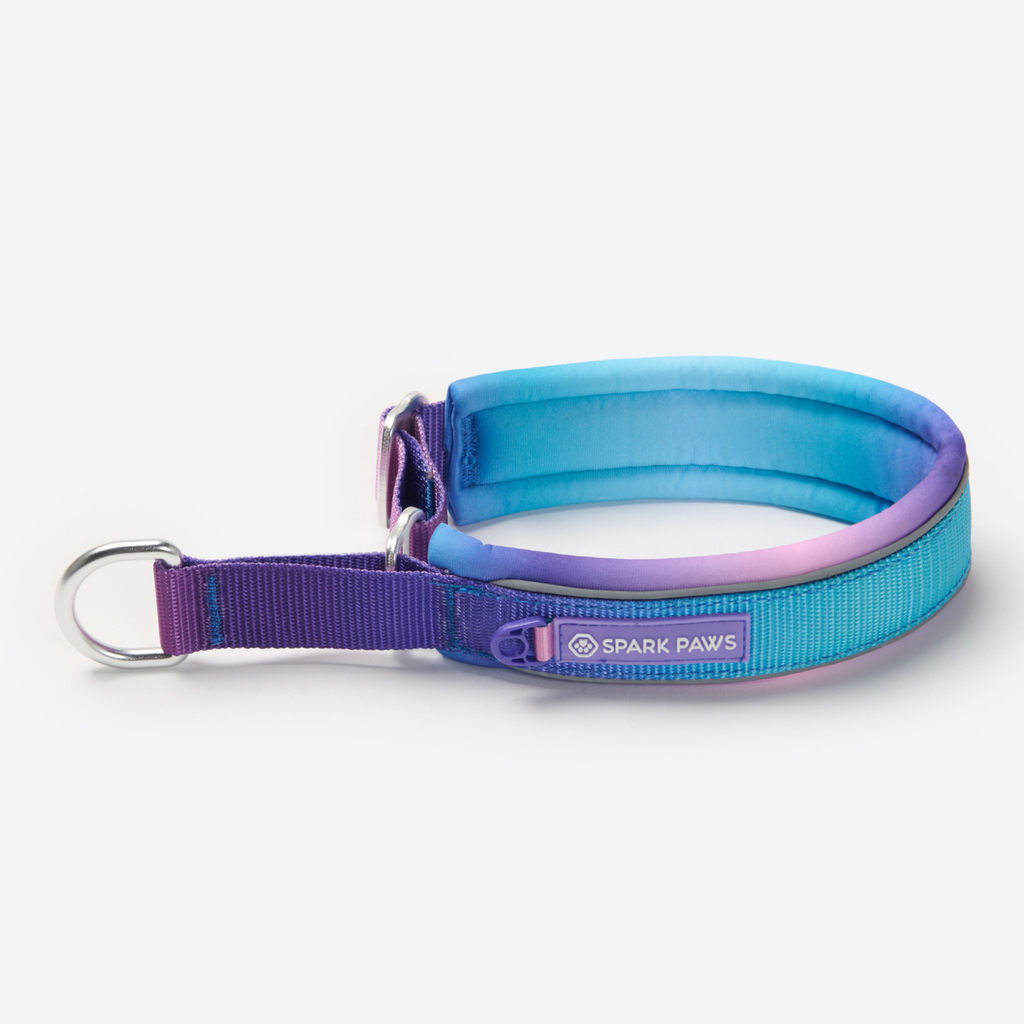 Cushioned Martingale Dog Collar for Gentle Leash Guidance, Limited-Cinch Design in Five Sizes source image 6
