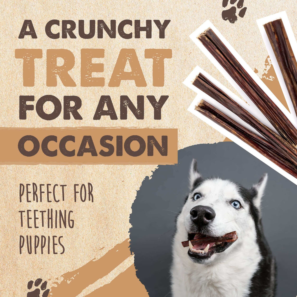 Single-Ingredient Beef Gullet Sticks for Dogs, 30-Pack Crunchy Chews for Puppies and Light Chewers source image 6
