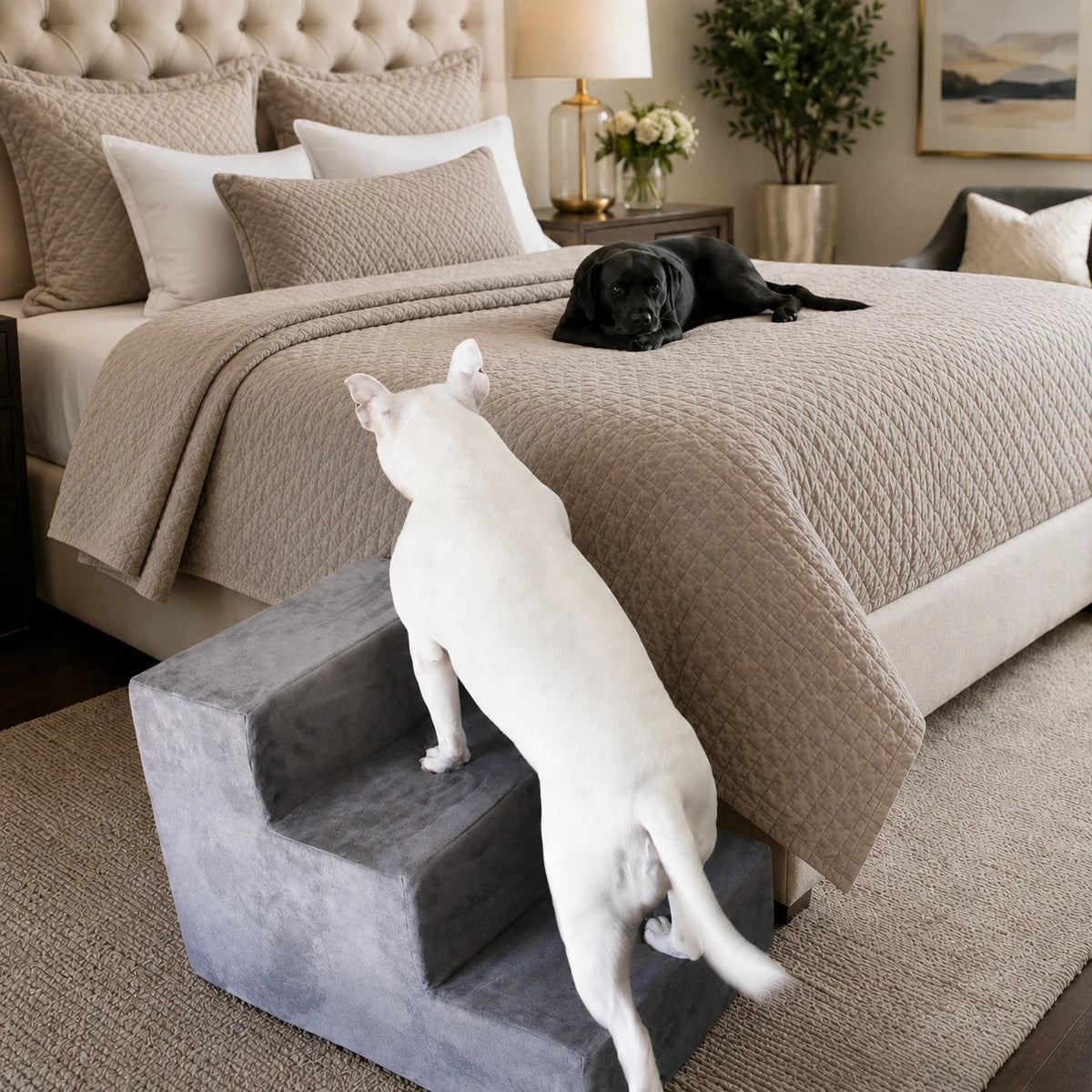 Foam Pet Stairs for Beds and Sofas, Supportive Micro Suede Steps in Three Heights and Four Colors source image 6