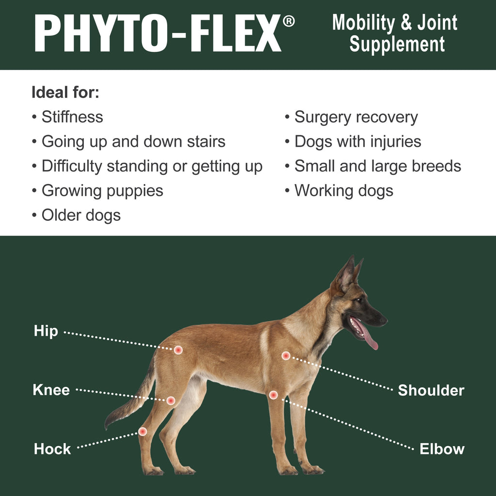 Dog Joint Support Supplement for Daily Mobility, Glucosamine and MSM Powder or Capsule Formats source image 6