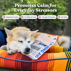 Dog Calming Chew Supplement, Duck Soft Treat and Food Topper Featuring L-Theanine and Chamomile in Two Bag Sizes source image 6
