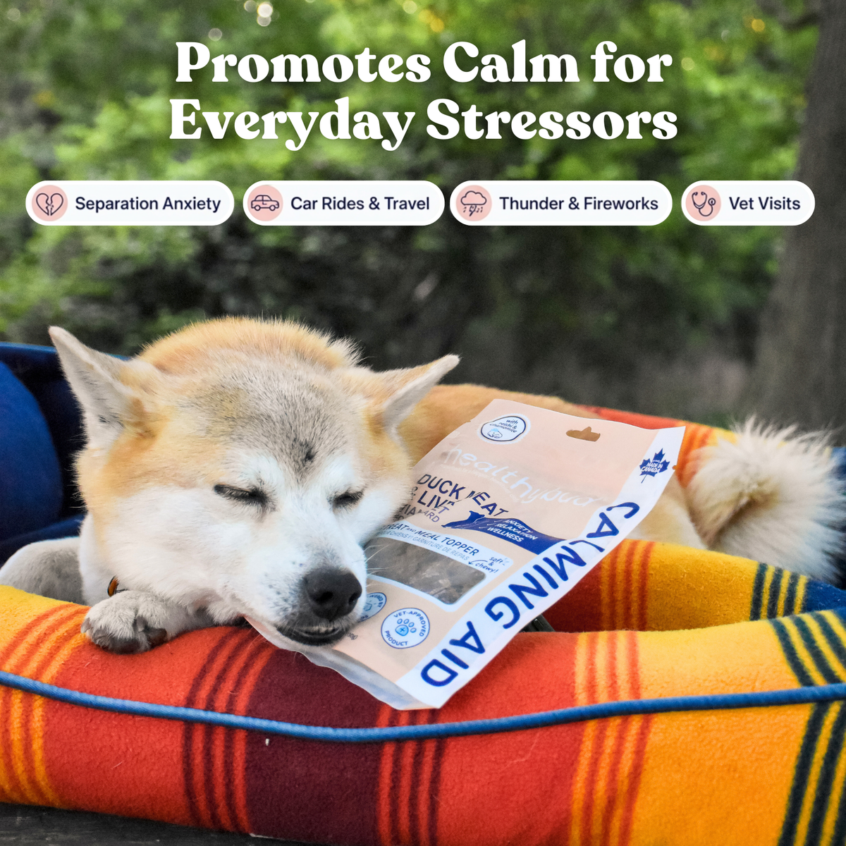 Dog Calming Chew Supplement, Duck Soft Treat and Food Topper Featuring L-Theanine and Chamomile in Two Bag Sizes source image 6