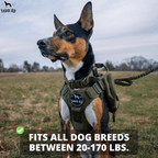 Heavy-Duty Tactical No-Pull Dog Harness with Dual D-Ring Control and Quick-Release Metal Buckles product image 6