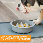Slow Feeder Dog Bowl, Nine-Peak Non-Skid Two-Cup Design for Flat-Faced and Fast-Eating Dogs source image 6