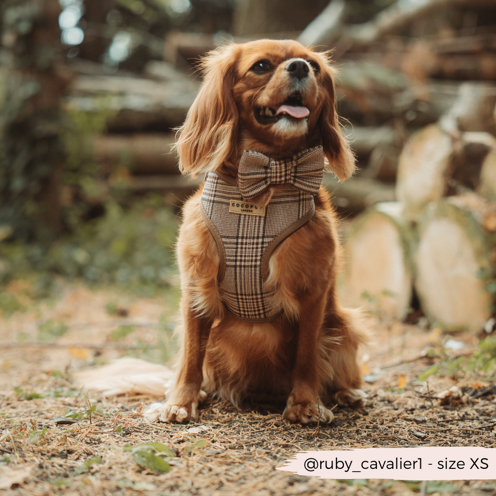 Adjustable Plaid Dog Harness for Comfortable Walks, Lightweight Polyester Design in Five Sizes source image 6