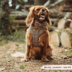 Adjustable Plaid Dog Harness for Comfortable Walks, Lightweight Polyester Design in Five Sizes source image 6