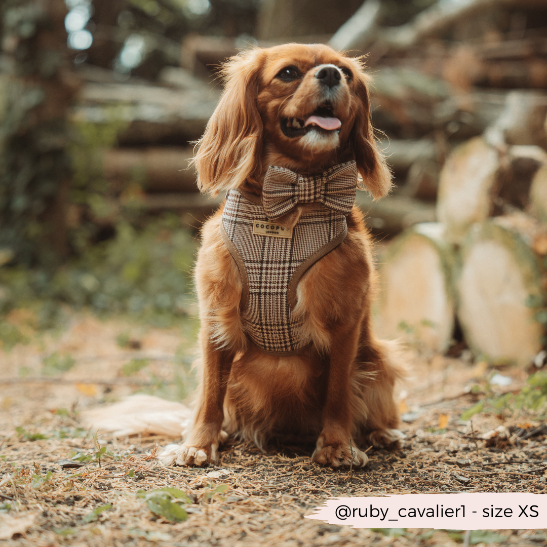 Adjustable Plaid Dog Harness for Comfortable Walks, Lightweight Polyester Design in Five Sizes source image 6