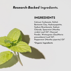 Mint Remineralizing Tooth Powder with Hydroxyapatite for Twice-Daily Cleaning in a 2 oz Jar product image 6
