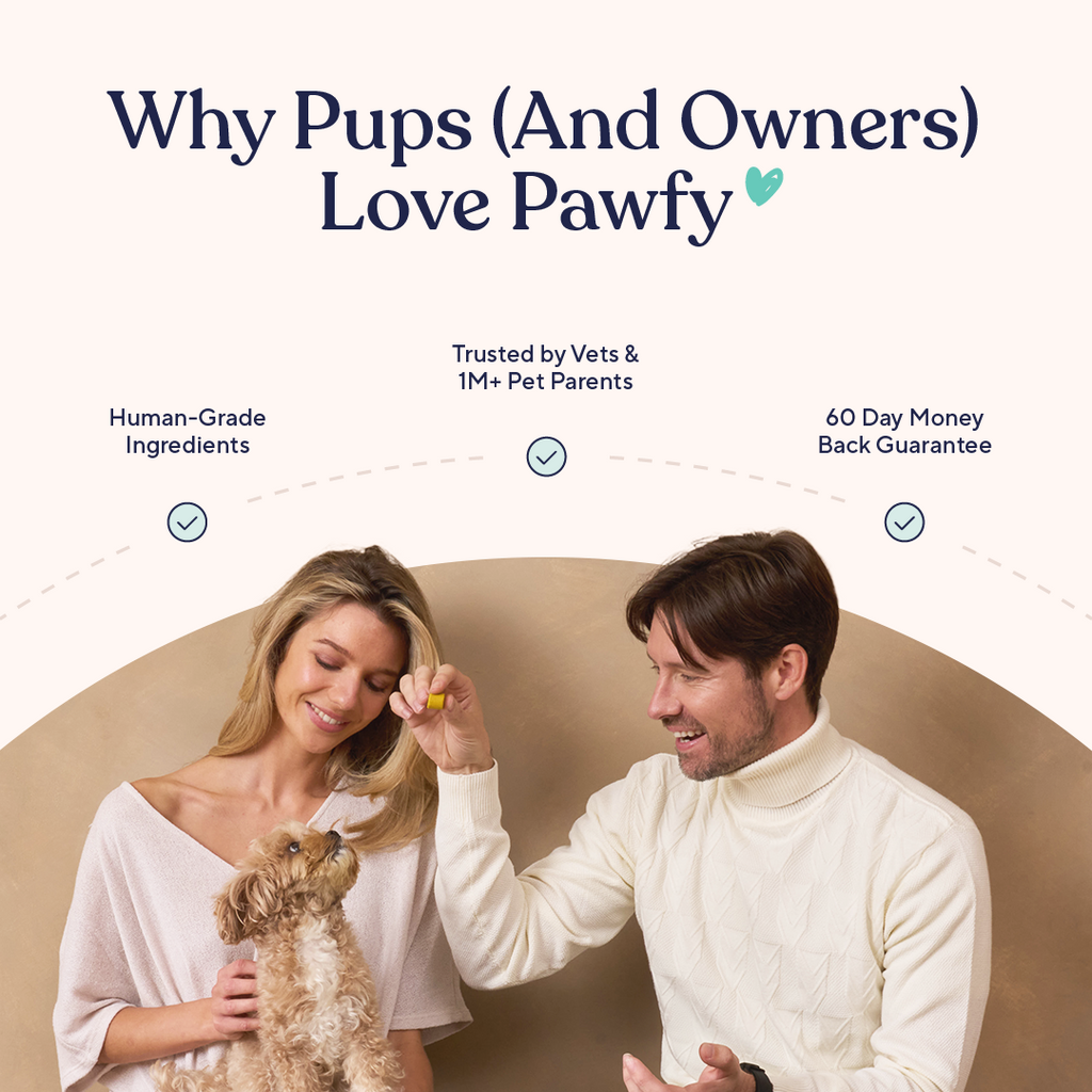 Daily Probiotic and Multivitamin Chews for Dogs, Easy Chew Format for Everyday Wellness Support product image 6