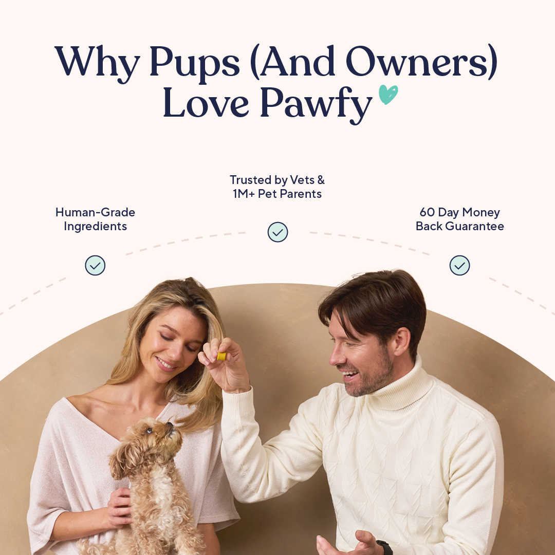 Daily Probiotic and Multivitamin Chews for Dogs, Easy Chew Format for Everyday Wellness Support product image 6