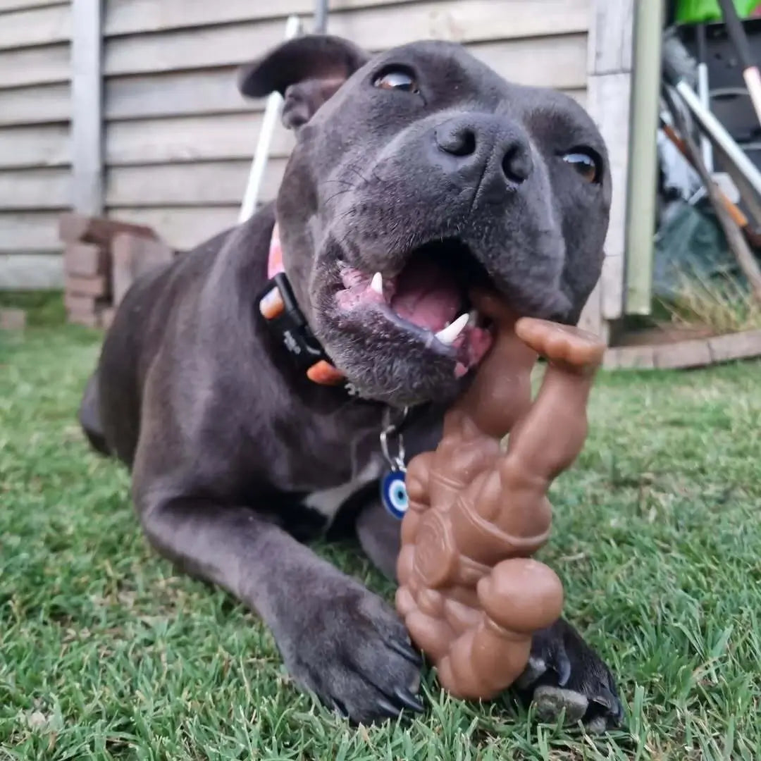 Nylon Dog Chew Toy with a Textured Solid Body, Squeaker-Free Enrichment for Supervised Power Chewing source image 6