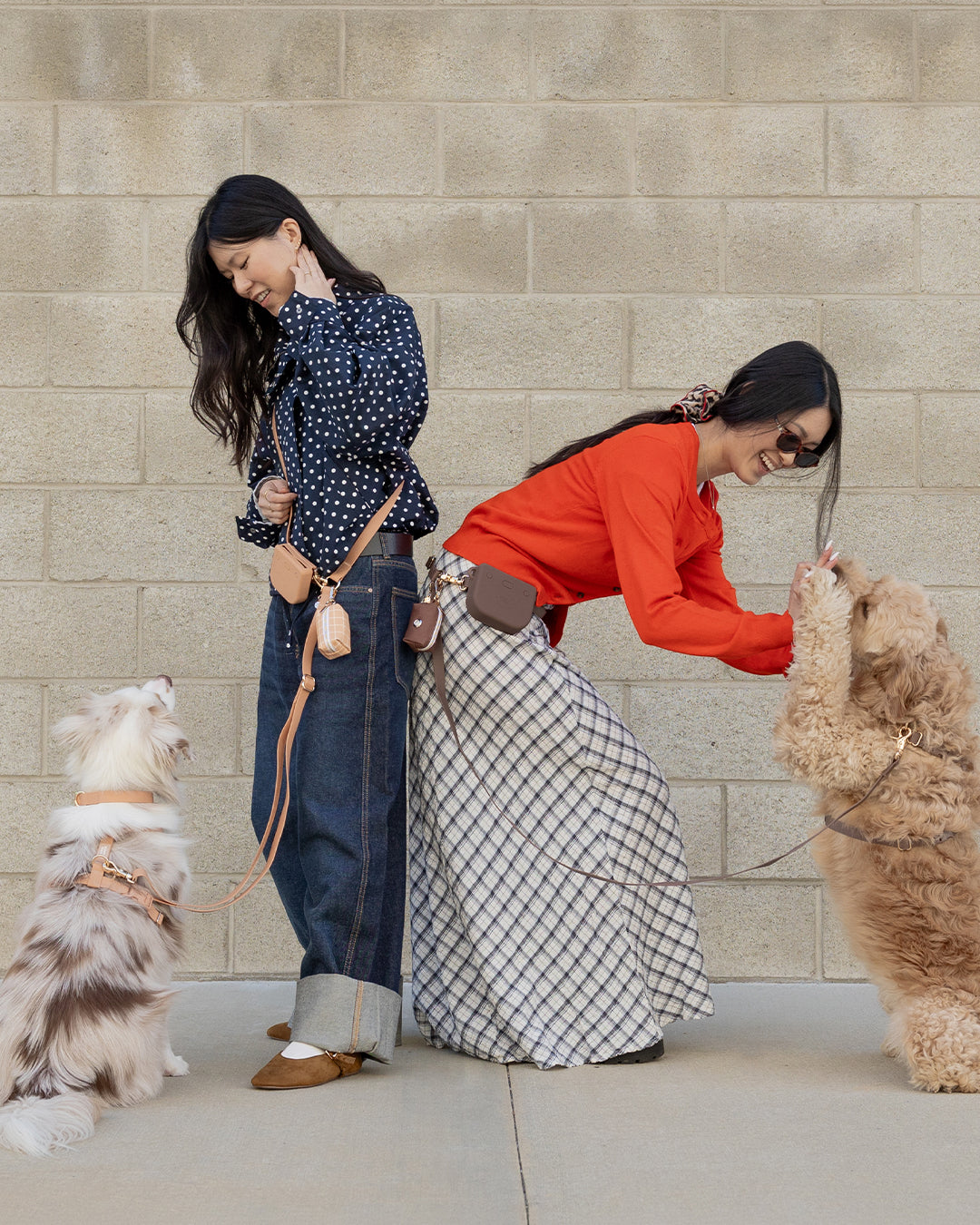 Hands-Free Dog Leash in Espresso Brown, Four Convertible Carry Modes in Standard and Wide Widths source image 6