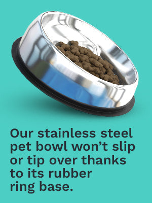 Angled Stainless Steel Pet Bowl for Flat-Faced Dogs and Cats, Three Capacities with Optional Stand source image 6