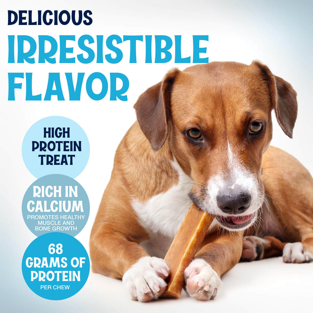 Himalayan Yak Cheese Dog Chews, Three-Ingredient Long-Lasting Milk Sticks in 3-Pack, 5-Pack or 3 lb Sizes source image 6