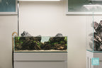 Rimless Shallow Aquarium Tank, Low-Iron Open-Top Design for Planted or Reef Aquascapes from 0.5 to 68.4 Gallons source image 6