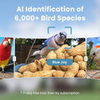 Smart 2K Birdwatching Camera, Wide-Angle Feeder Companion with Bendable Mount for App-Connected Viewing source image 6
