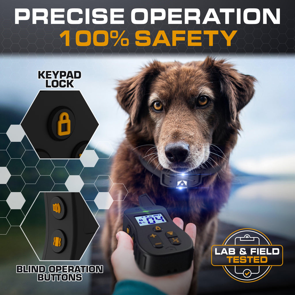 Remote Dog Training Collar for Long-Range Sessions, Waterproof Receiver with 124 Adjustable Levels source image 6