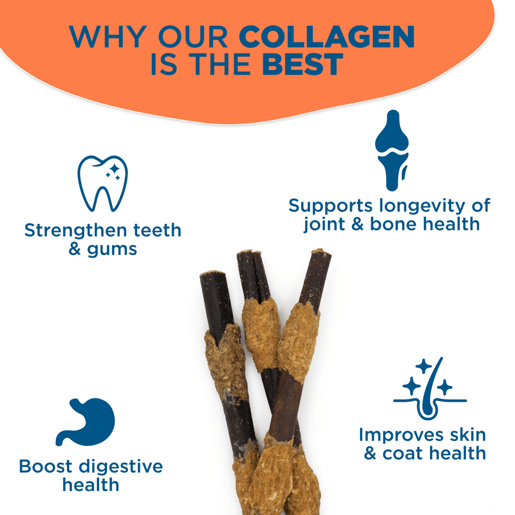 Six-Inch Collagen Dog Chew Kabobs Wrapped in Beef, Chicken and Pork, Multipacks for Small and Medium Breeds source image 6