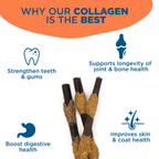 Six-Inch Collagen Dog Chew Kabobs Wrapped in Beef, Chicken and Pork, Multipacks for Small and Medium Breeds source image 6