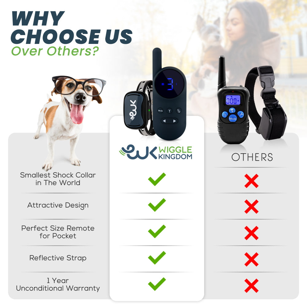 Rechargeable Remote Training Collar for Small Dogs, 1,000-Foot Range plus Tone, Vibration and Static Modes source image 6