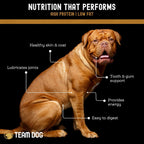Freeze-Dried Beef Esophagus Dog Chews, Three-Piece Bag of High-Protein Treats for Supervised Chewing source image 6