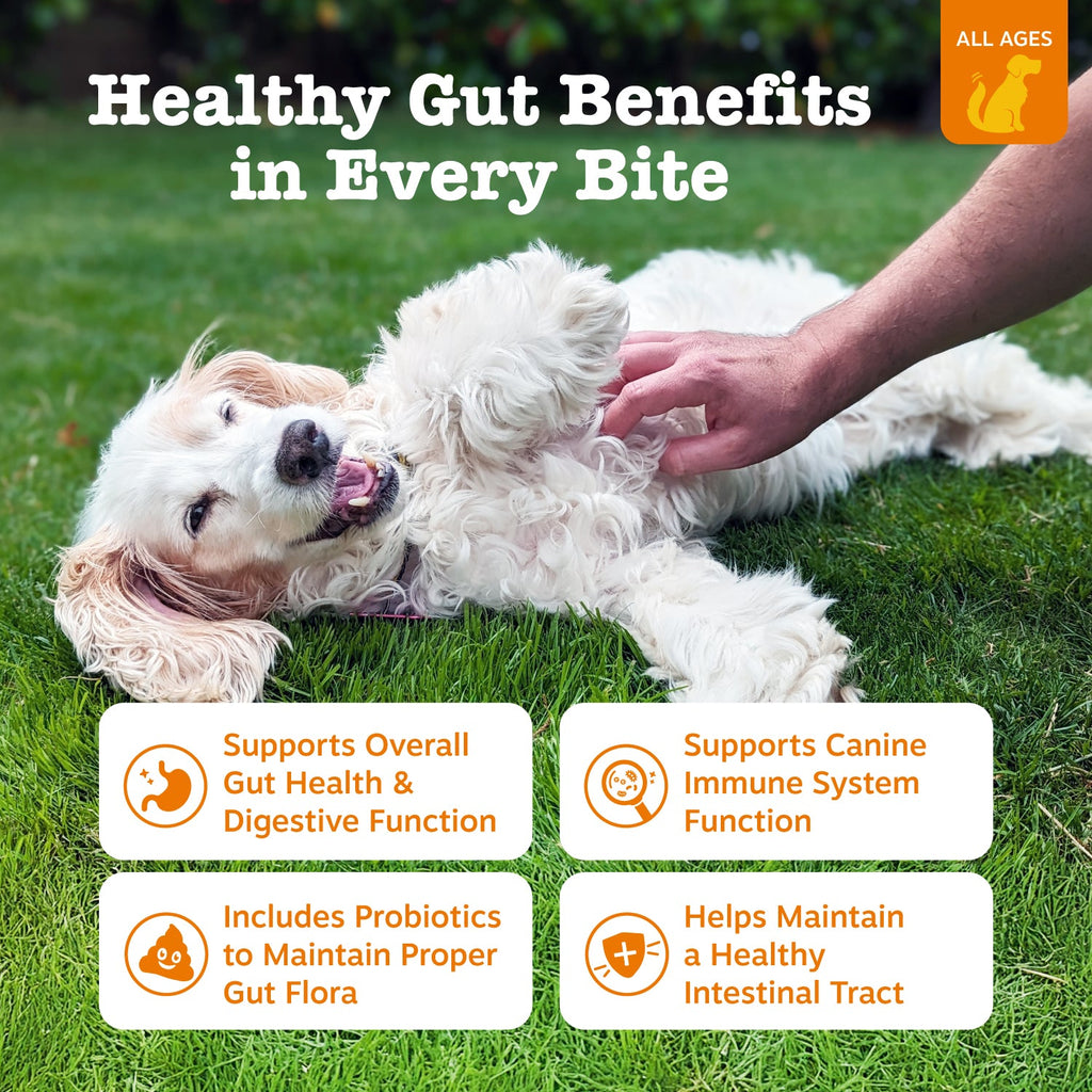 Probiotic Soft Chews for Dogs, 3 Billion CFU Gut First Blend in 50- to 270-Count Sizes for Daily Digestive Support source image 6