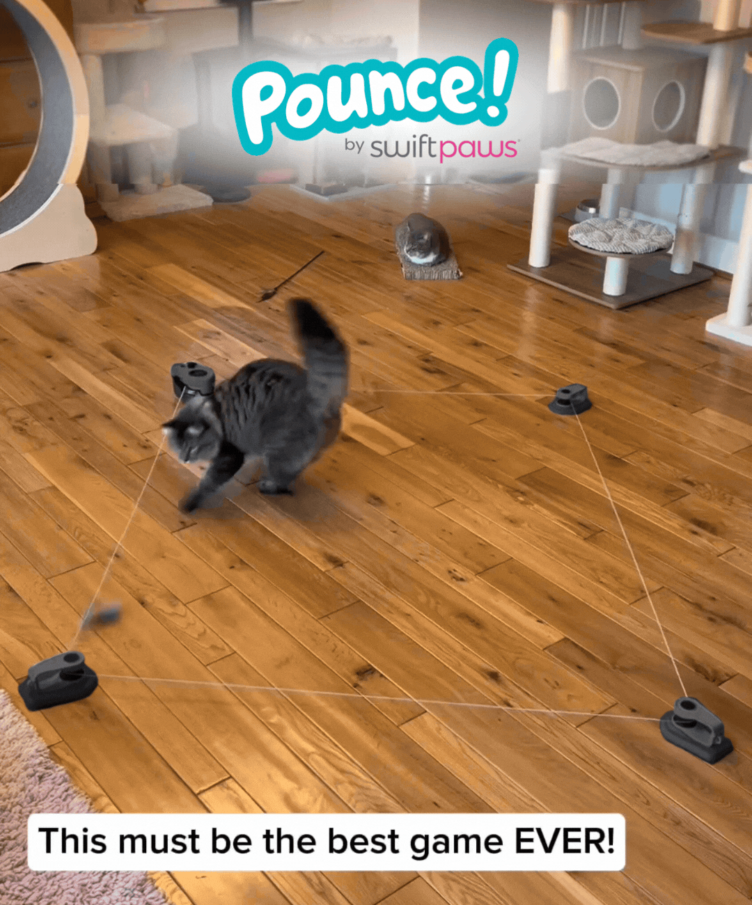 Indoor Pet Lure Course for Cats and Small Dogs, Automatic 10-Minute Play, USB-C Power and Magnetic Pulleys source image 6