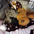 New Puppy Starter Kit for Home Transition, Heartbeat Plush and Coordinated Comfort Essentials Included source image 6