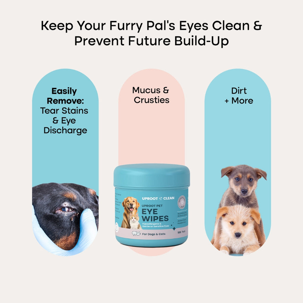 Pet Eye Cleaning Wipes for Tear Stains and Daily Debris, 100 Wipes per Pack with Shea Butter and Jojoba Oil source image 6
