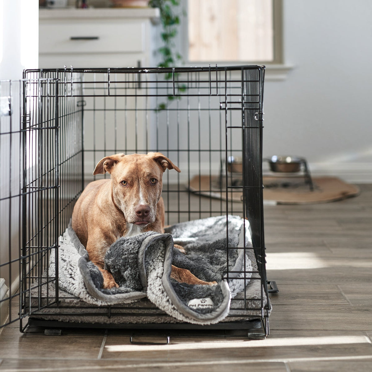 Waterproof Pet Blanket with Absorbent Core and Reinforced Edge Binding in Four Washable Sizes source image 6