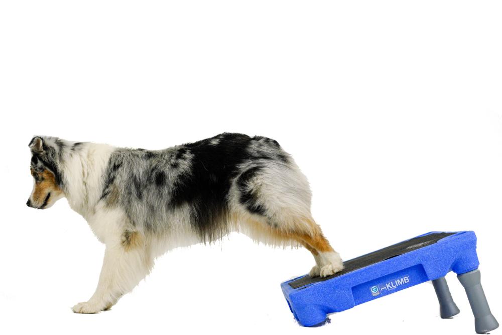 Non-Slip Dog Training Platform Mat, Custom-Fit 24 x 24 Inch Rubber Surface for Confident Exercise Sessions source image 6