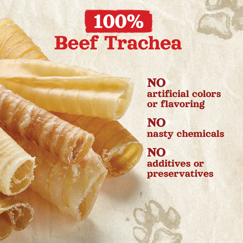 12 Inch Beef Trachea Dog Chews, Single-Ingredient Grass-Fed Treats in an Eight Pack for Supervised Chewing source image 6