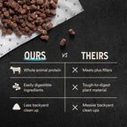 Freeze-Dried Raw Beef Dog Food Mini Nibs for Complete Meals or Mixers, Available in Four Bag Sizes source image 6