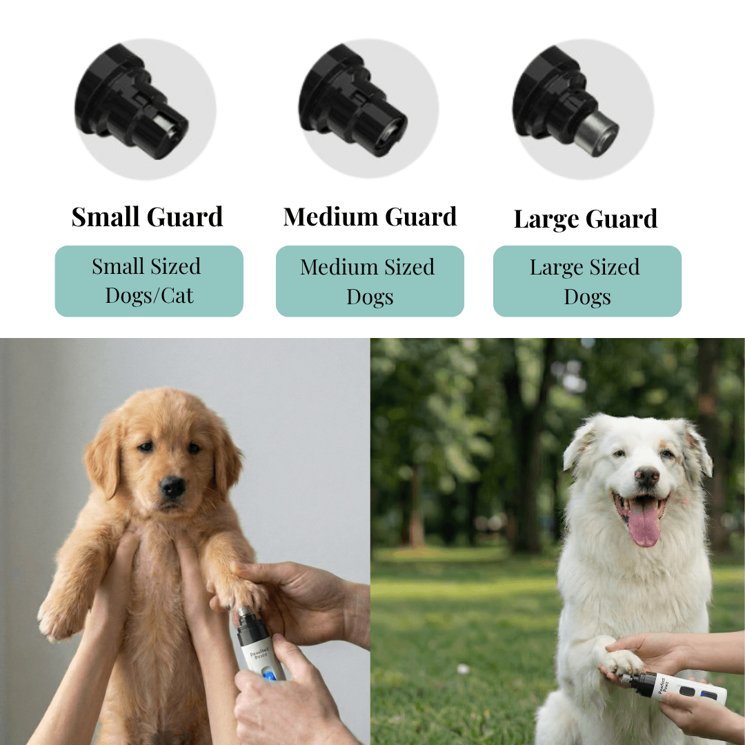 Electric Pet Nail Grinder, USB-C Rechargeable Two-Speed Tool with Three Guards and Diamond Grinding Head source image 6