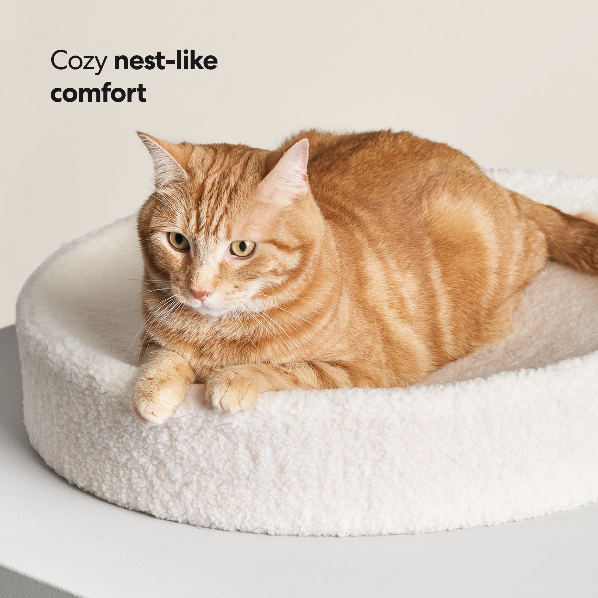 Nest-Shaped Cat Bed with Sculpted Foam Core and Faux Shearling Cover in Small, Wide or Two-Bed Set source image 6