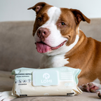 Bamboo Pet Grooming Wipes for Dogs and Cats, Aloe Vera and Chamomile Formula in Travel and Premium Packs source image 6