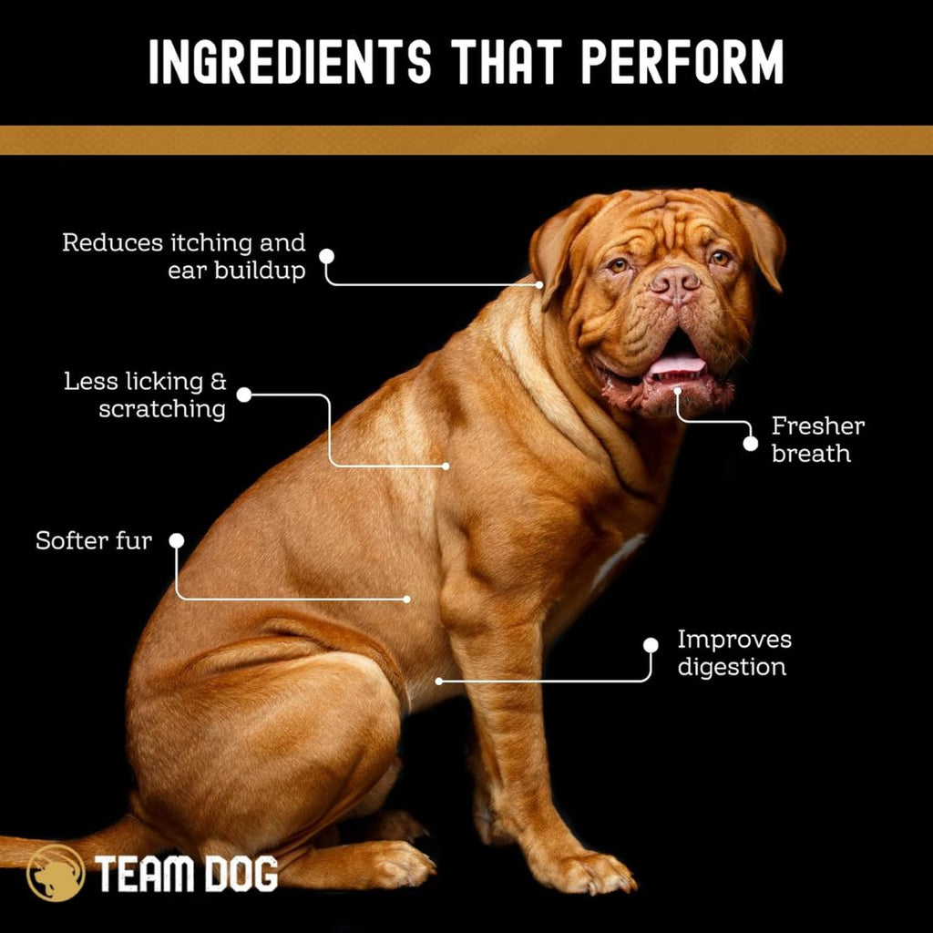 Dog Digestive and Probiotic Soft Chews, 120 Count with Enzyme Blend and Two Billion CFUs per Chew source image 6