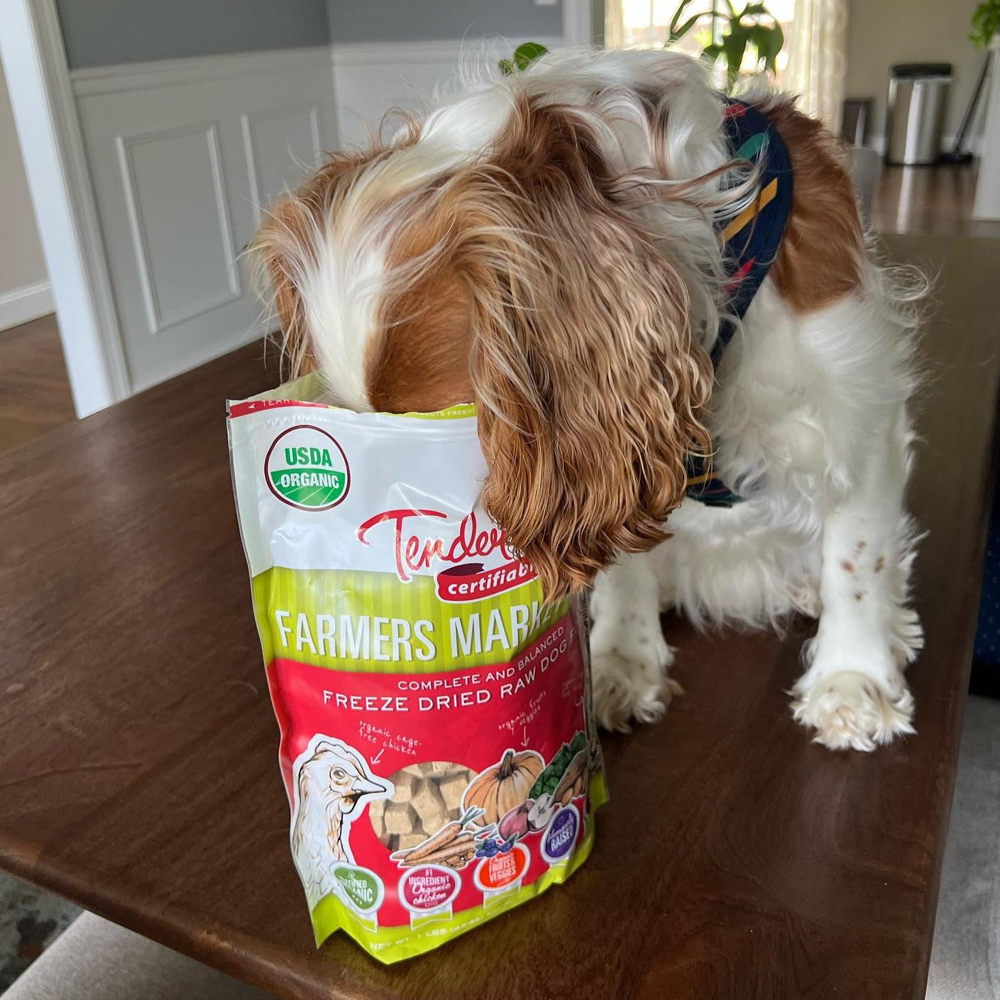Organic Freeze-Dried Raw Dog Food with Chicken and Turkey, Grain-Free Complete Meal or Topper source image 6