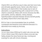 Liquid Vitamin B12 Supplement for Cats Supporting Immune, Nervous, Digestive and Cognitive Health product image 6