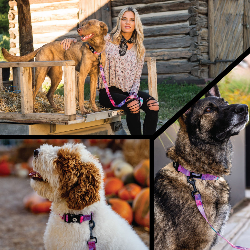 Printed Martingale Dog Collar, Dreamy Watercolor Pattern for Controlled Training Walks in Four Adjustable Sizes source image 6