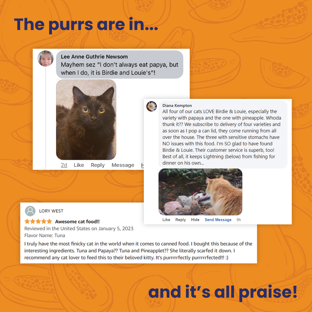 Tuna and Papaya Wet Cat Food with Flakes in Broth for Hydration Digestive Support and Complete Nutrition product image 6