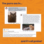 Tuna and Papaya Wet Cat Food with Flakes in Broth for Hydration Digestive Support and Complete Nutrition product image 6